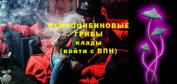 ГАЛЛЮЦИНОГЕННЫЕ ГРИБЫ Армянск
